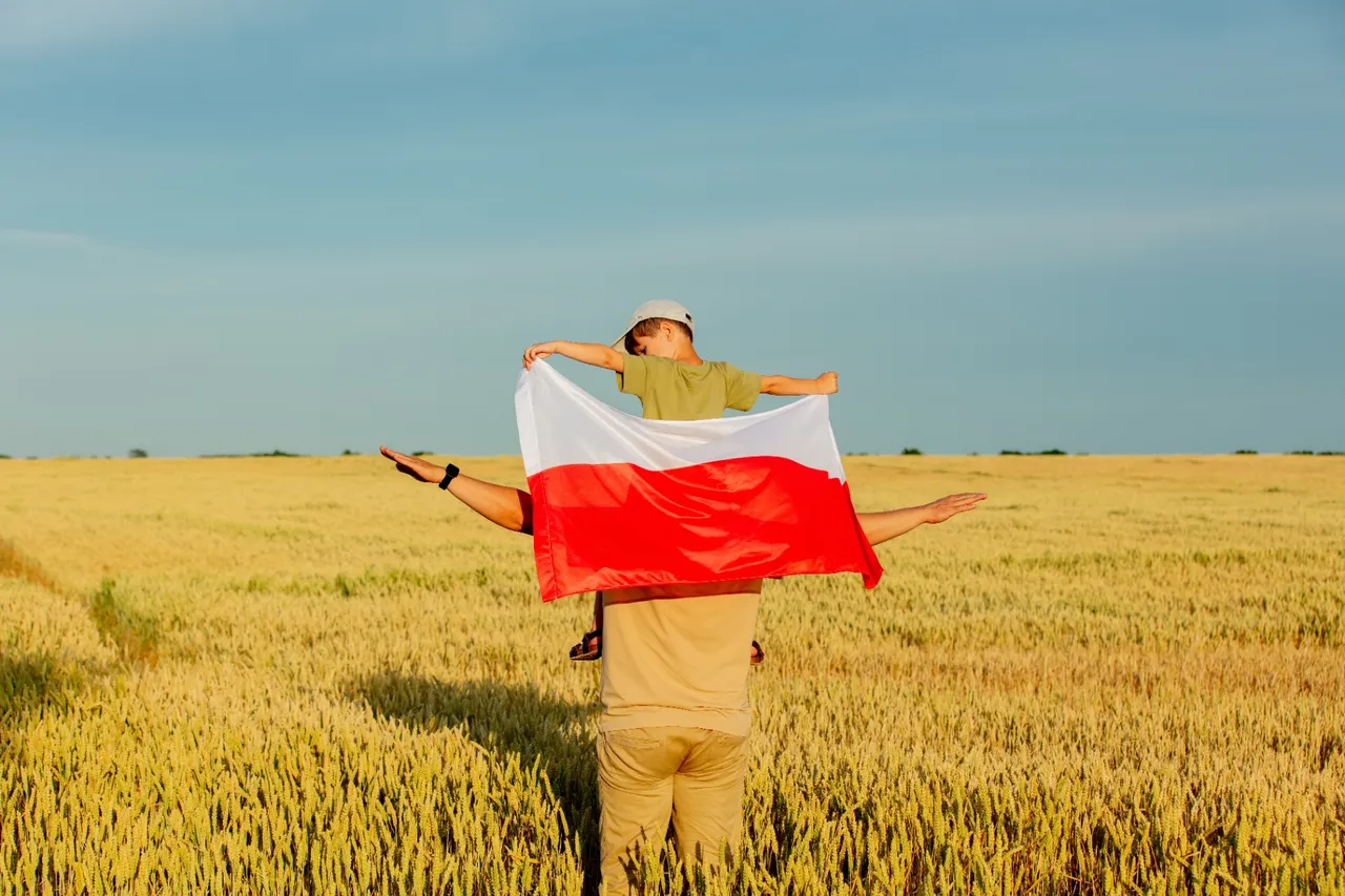 Biedronka 31.10-18.11: Biedronka zaskakuje nową ofertą na listopad. Te domowe hity znikną w mgnieniu oka!