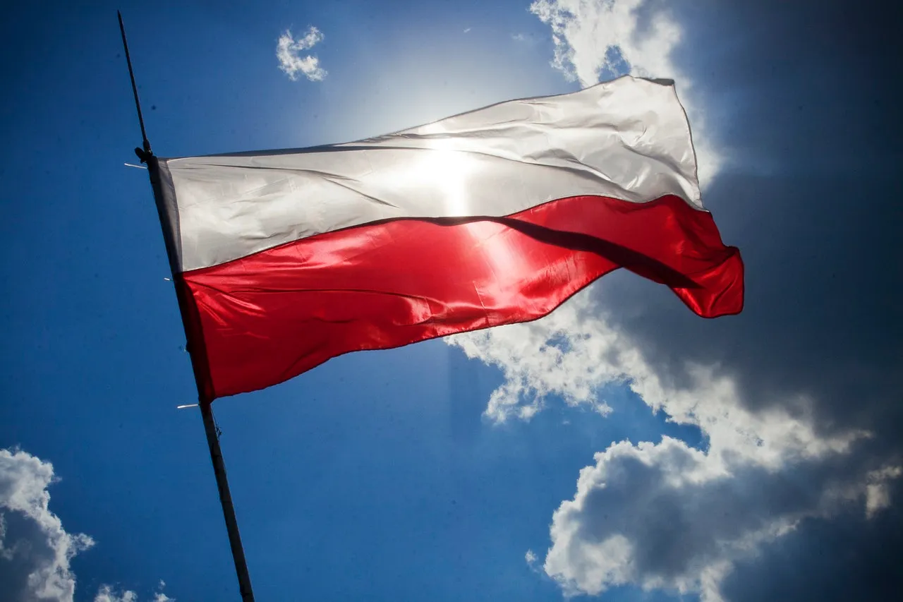 post image - Klasyka kuchni polskiej w Biedronce