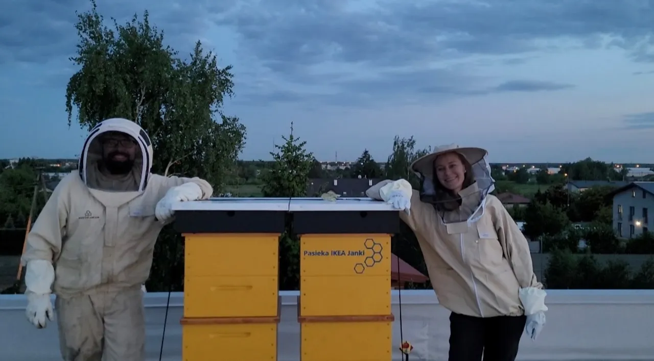 post image - Pasieka na dachu - Ikea buduje świadomość ekologiczną klientów