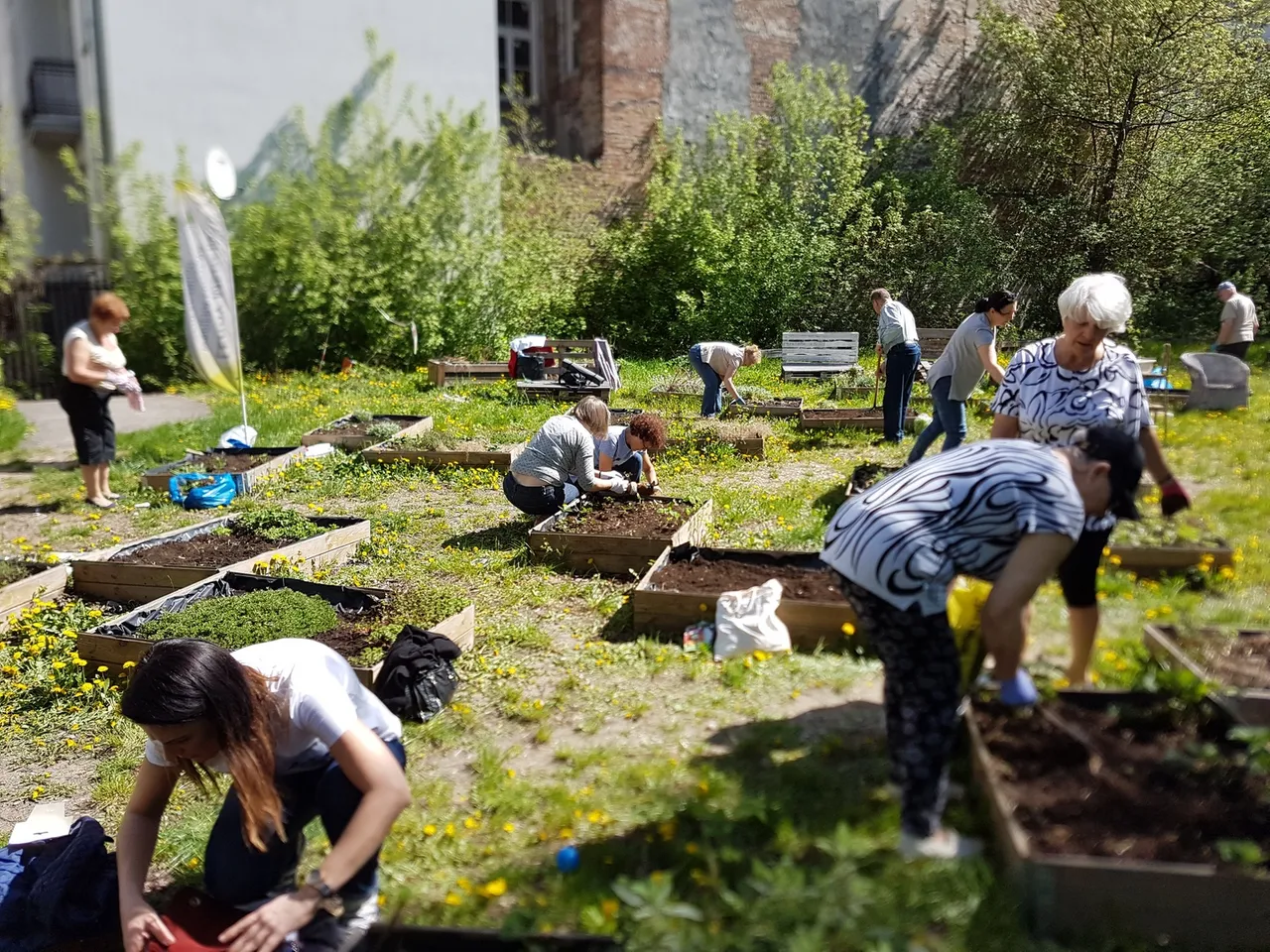 post image - Leroy Merlin wspiera projekt lokalnej społeczności "Praski Ogródek Sąsiedzki"