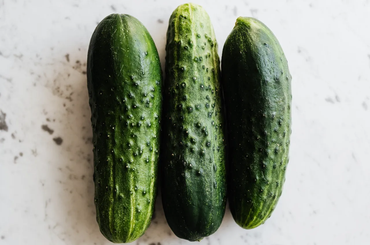 post image - Ogórki kiszone, małosolne, konserwowe - jak je zrobić?