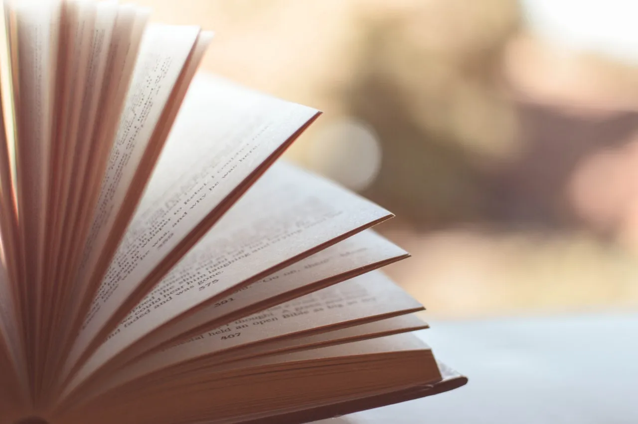 post image - Hity literatury w Biedronce