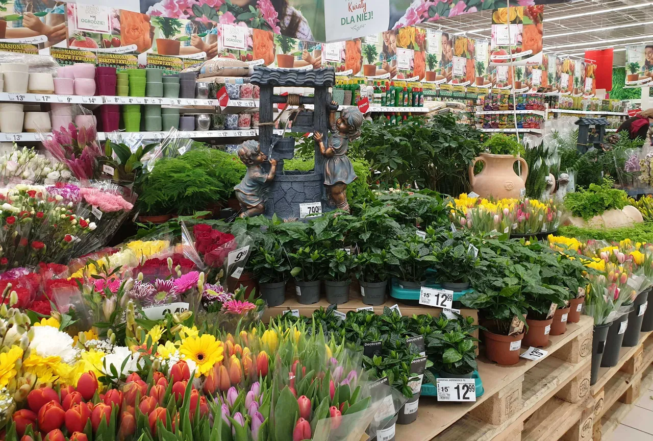 post image - Wiosenny ogród w Auchan