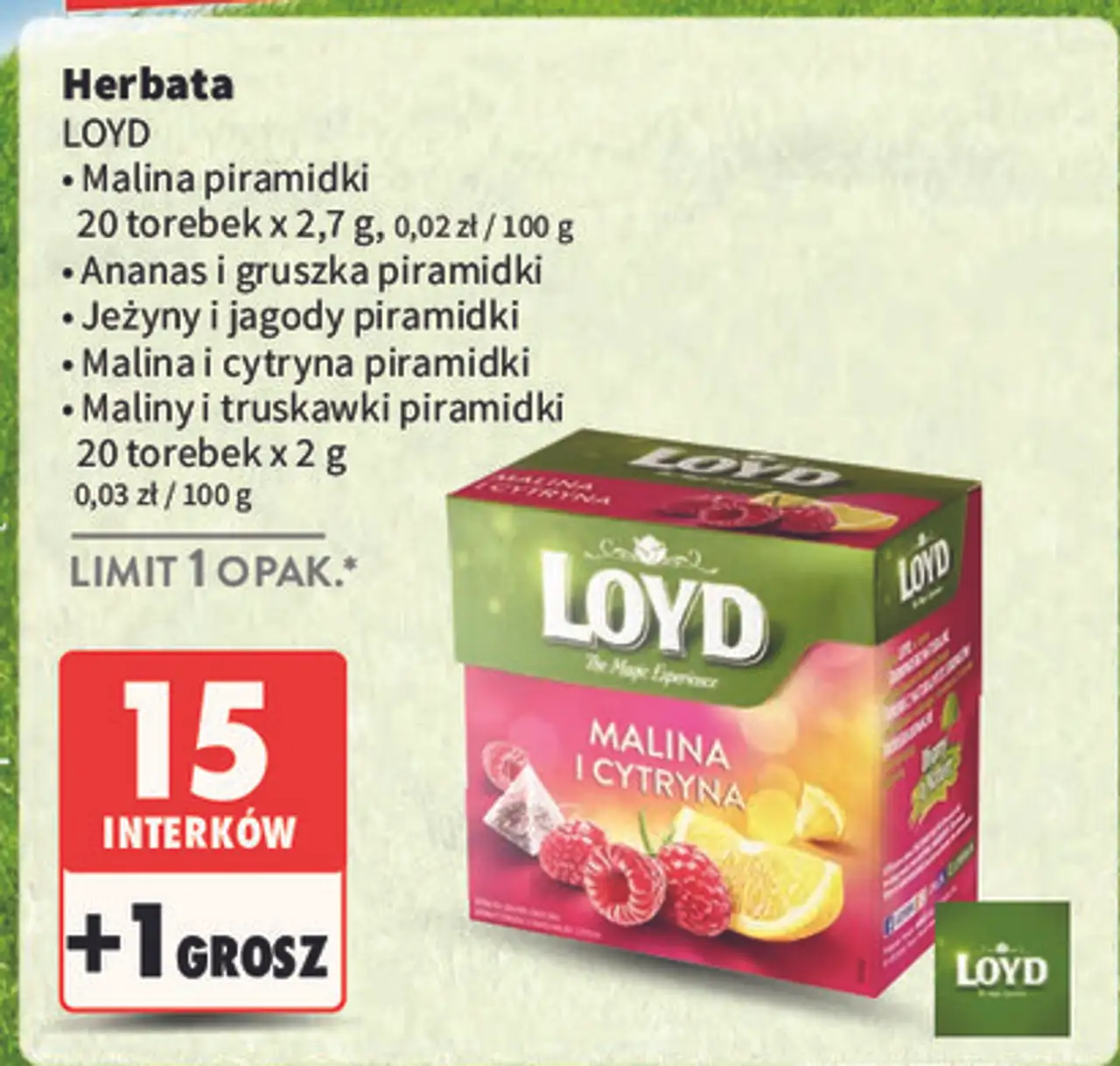 Herbata malina-truskawka Loyd Tea The Magic Experience