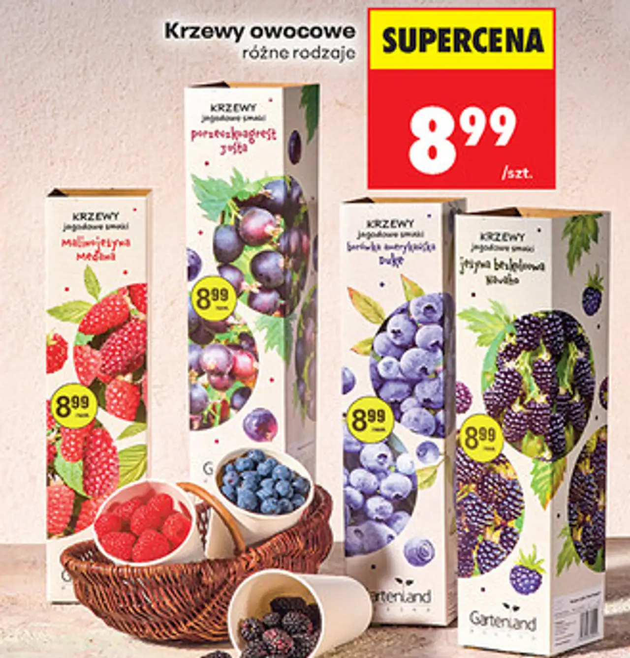 Krzewy owocowe różne rodzaje