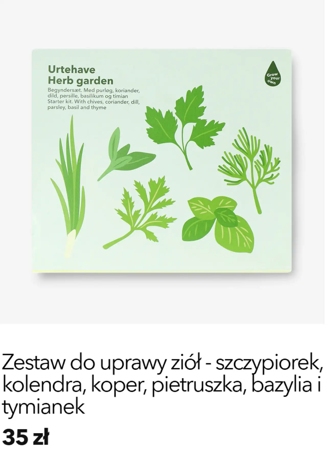 Zestaw do uprawy ziół - szczypiorek, kolendra, koper, pietruszka, bazylia i tymianek