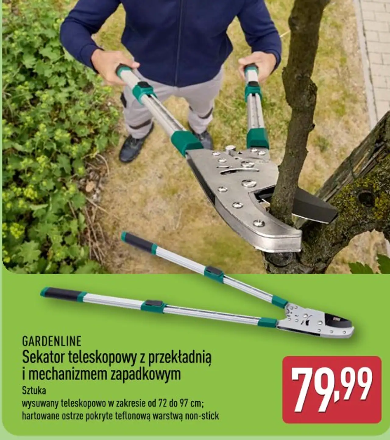 GARDENLINE Sekator teleskopowy z przekładnią i mechanizmem zapadkowym