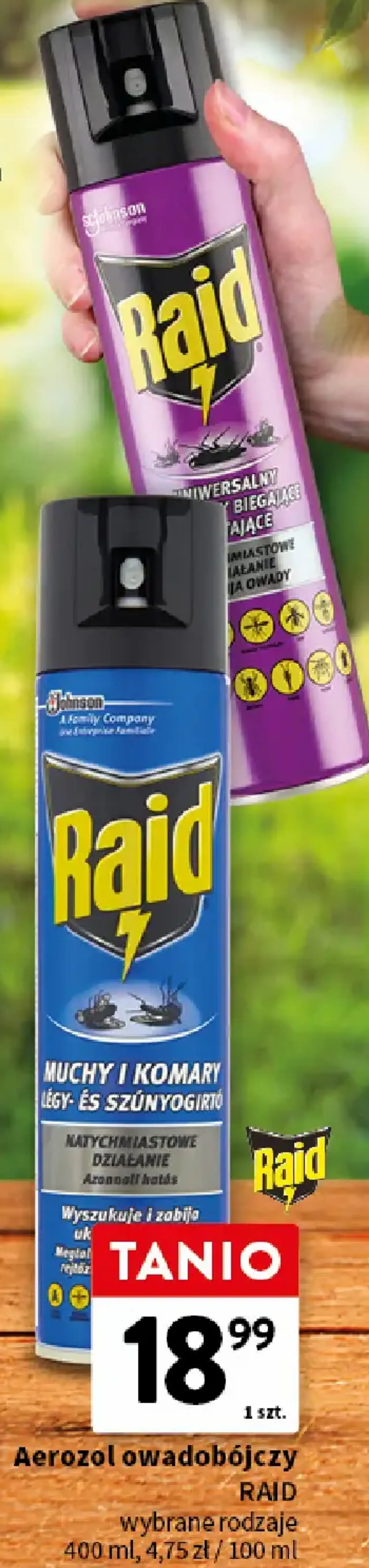 Aerozol owadobójczy RAID wybrane rodzaje 400 ml