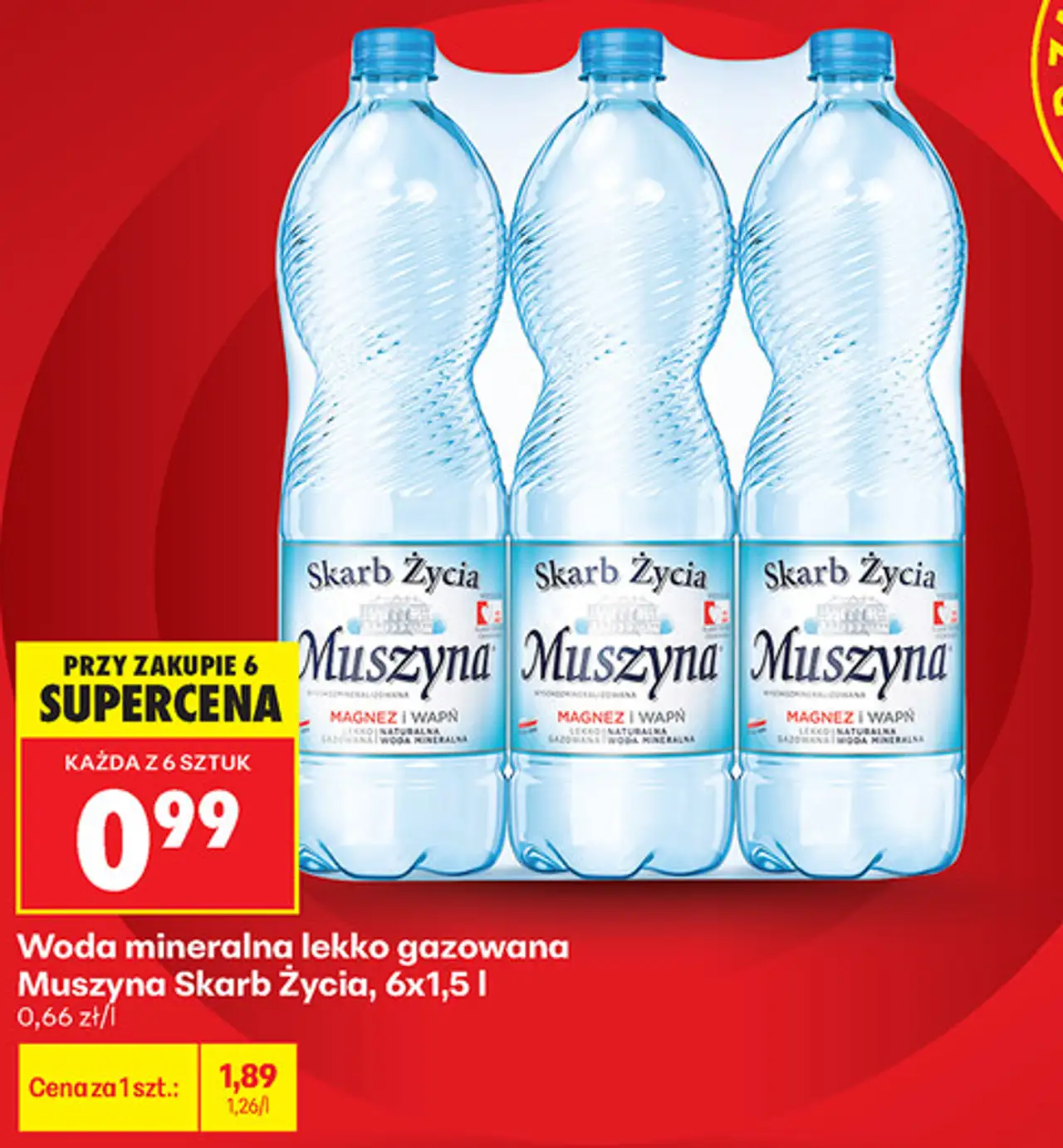 Woda mineralna lekko gazowana Muszyna Skarb Życia, 6x1,5 l