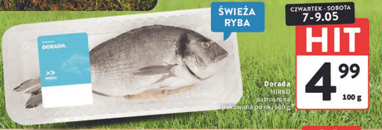 Dorada MIRKO patroszona, pakowana po ok. 500 g