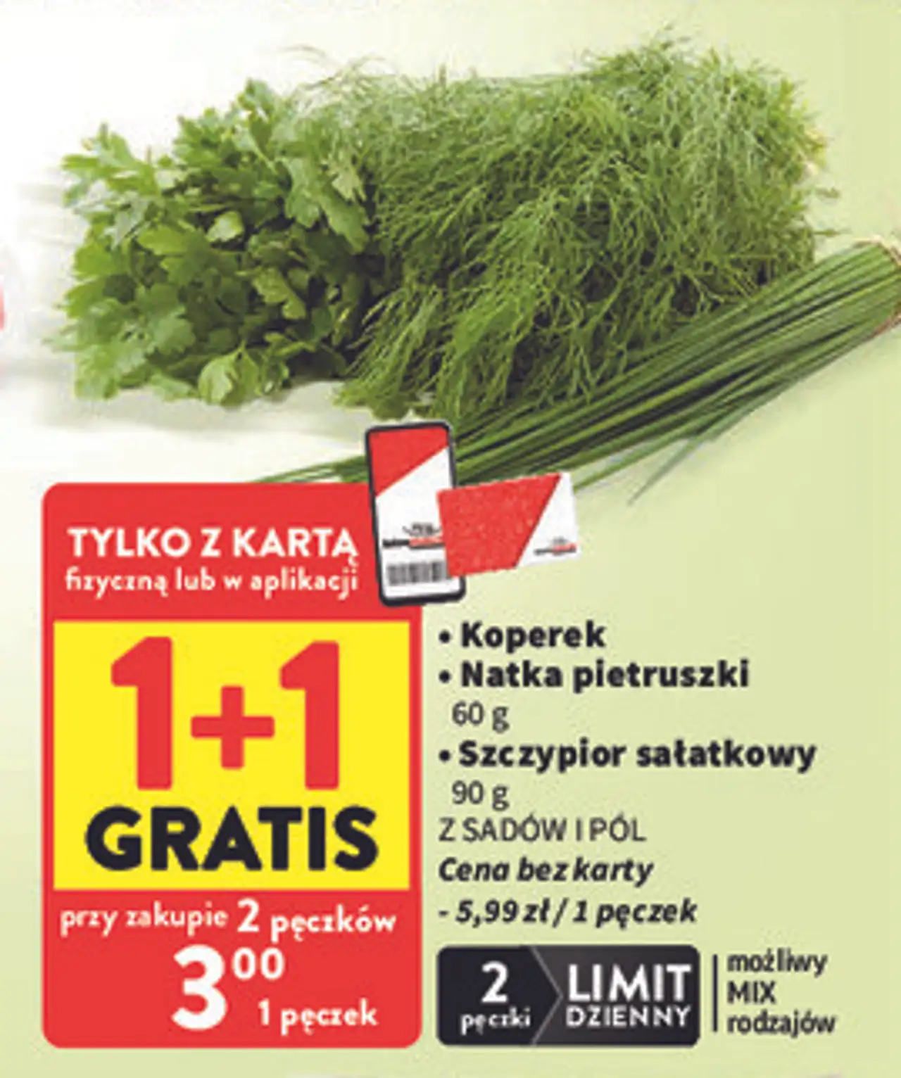 Koperek, Natka pietruszki, Szczypior sałatkowy