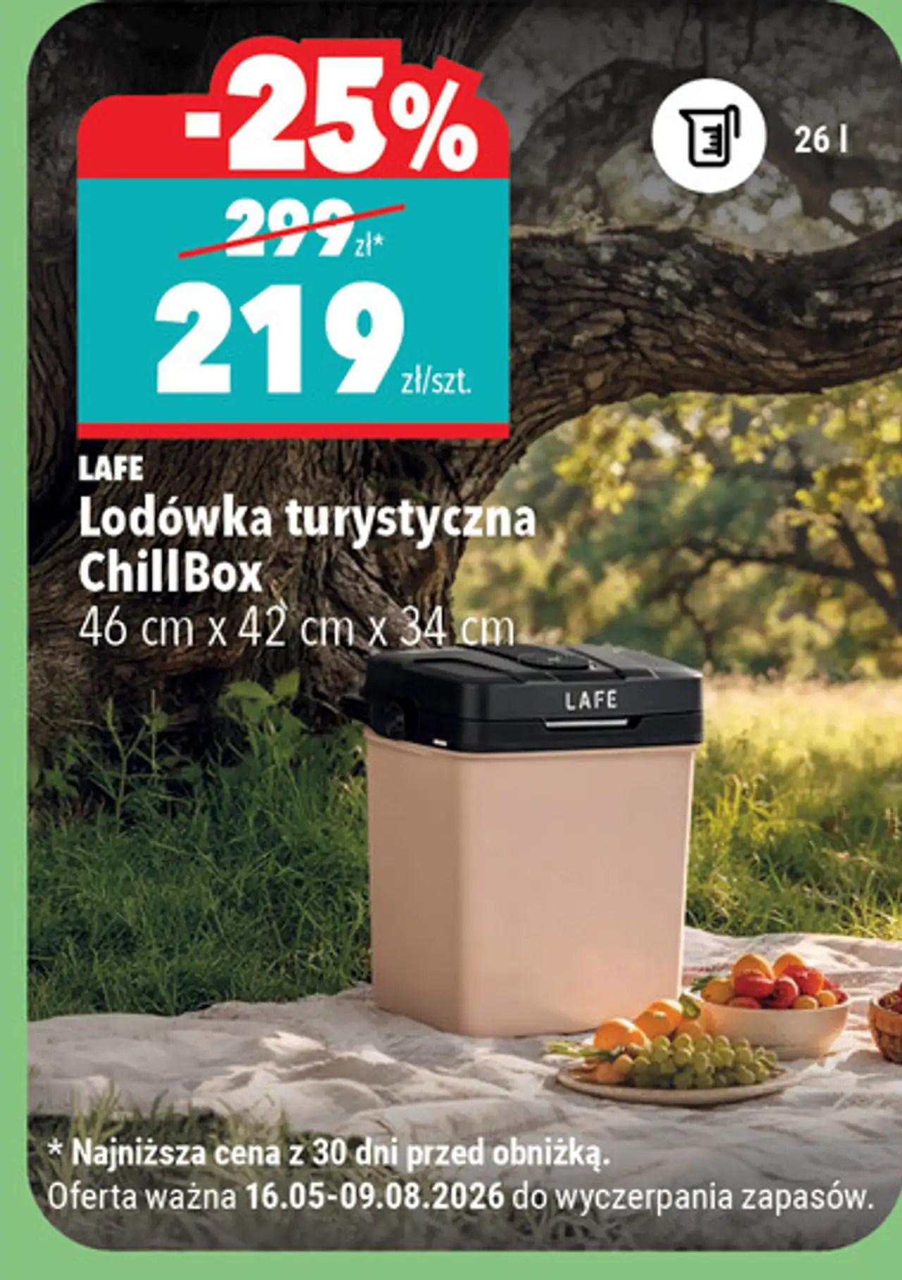 Lodówka turystyczna Chill Box 46 cm x 42 cm x 34 cm