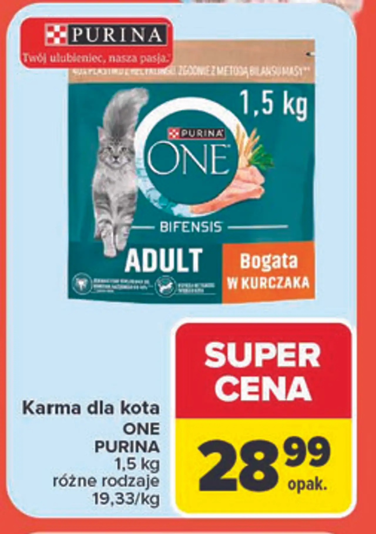 Karma dla kota ONE PURINA 1,5 kg różne rodzaje