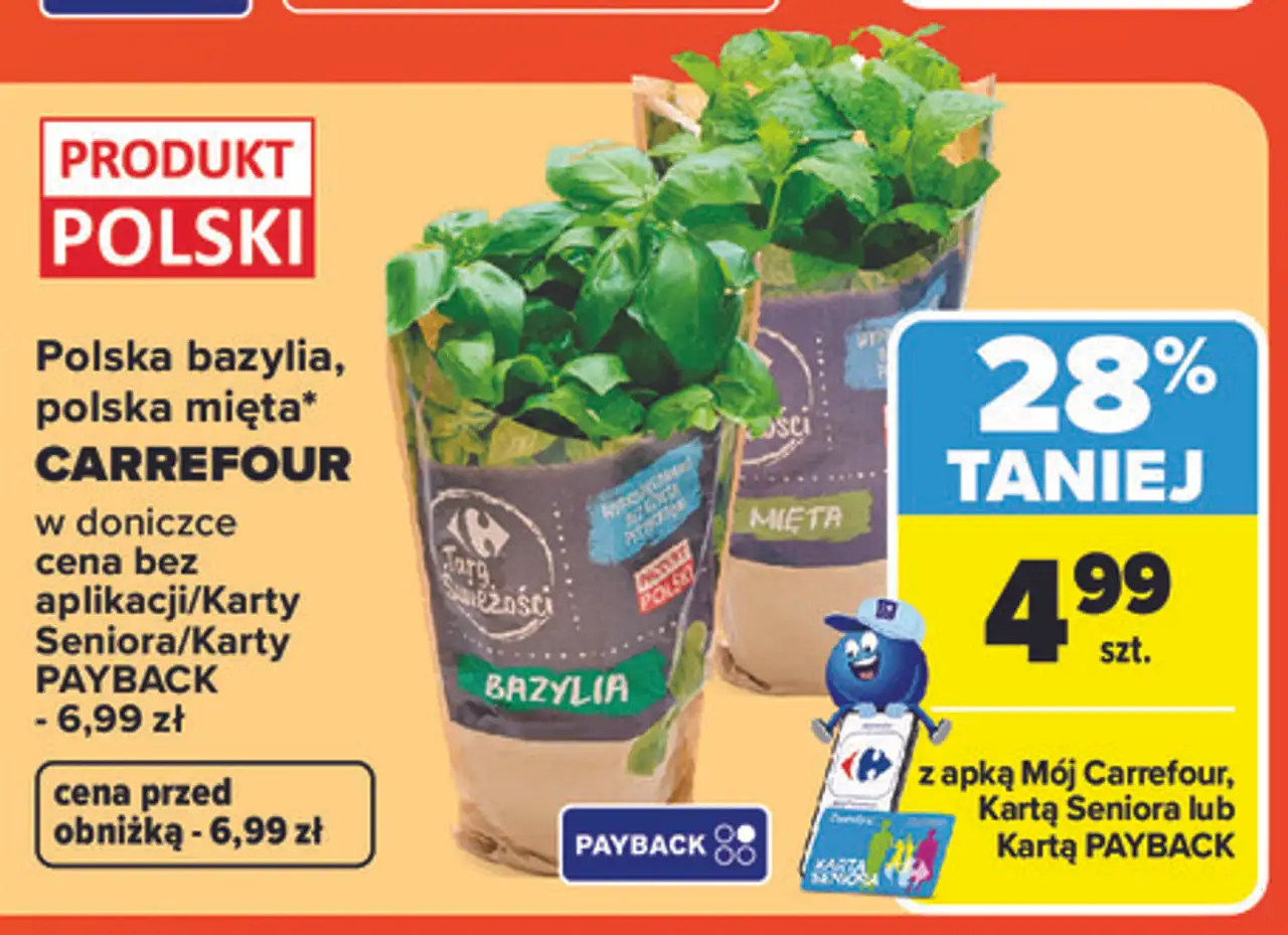 Polska bazylia, polska mięta Carrefour