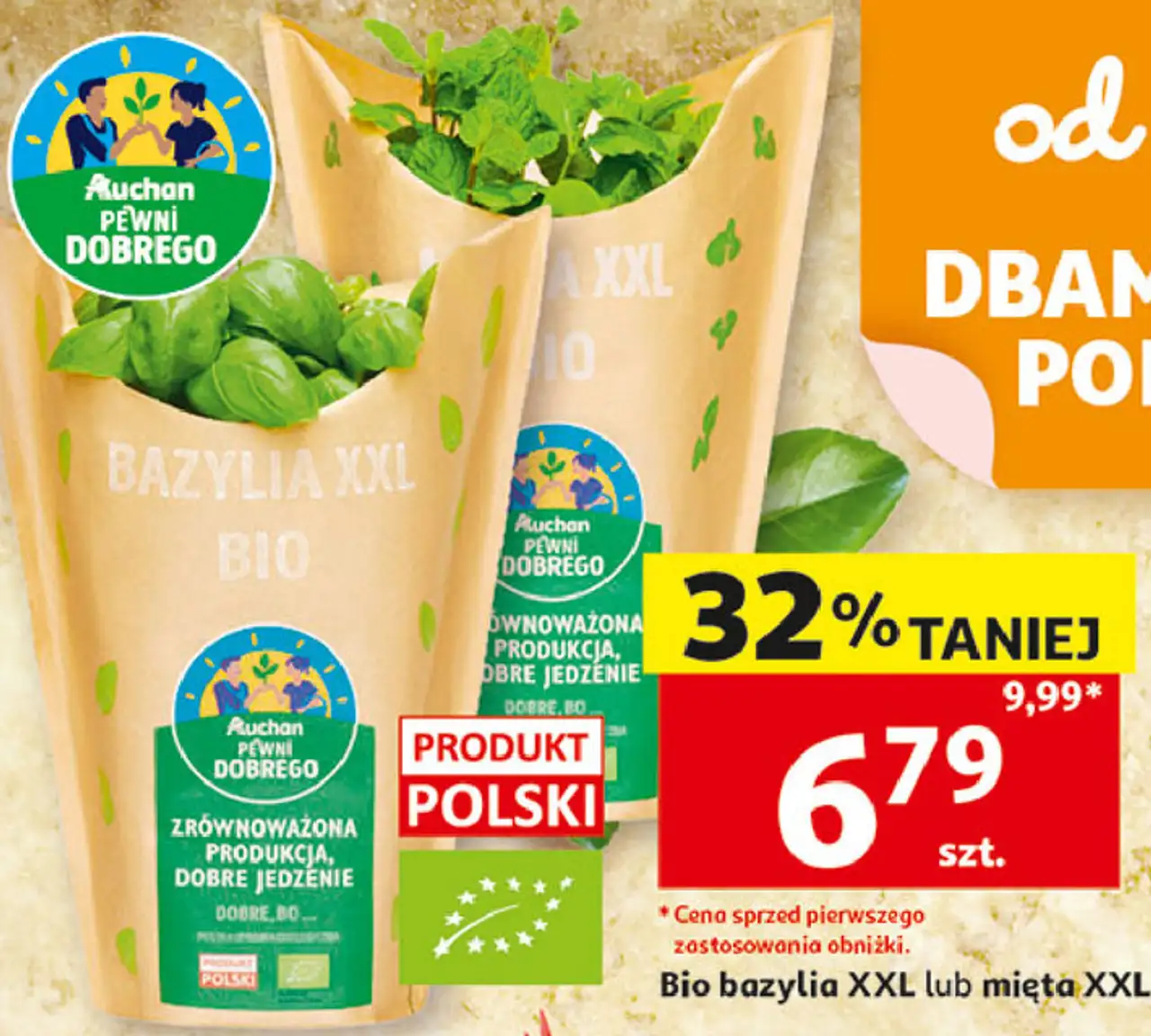 Auchan Pewni Dobrego Bio bazylia XXL lub mięta XXL