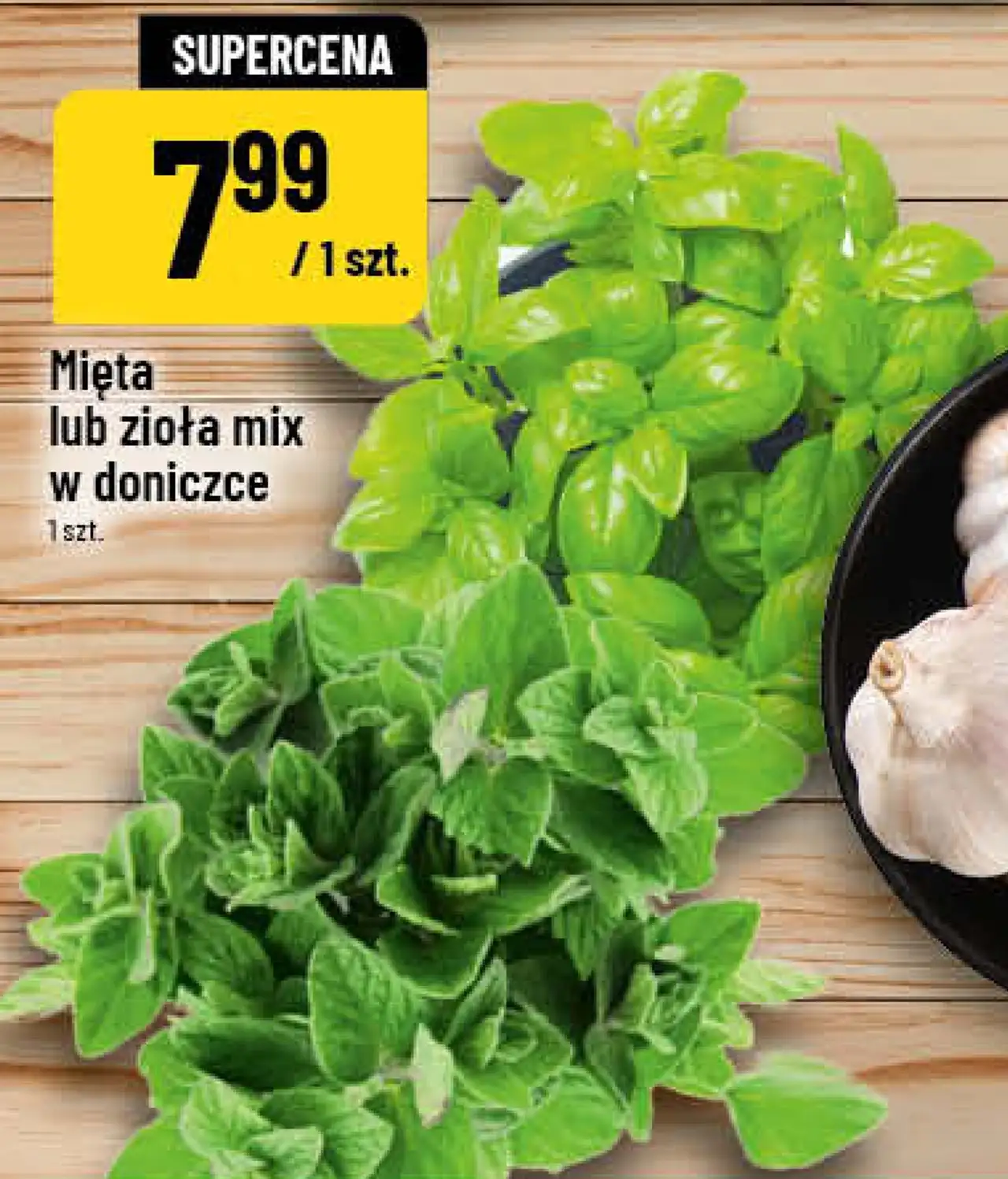 Mięta lub zioła mix w doniczce