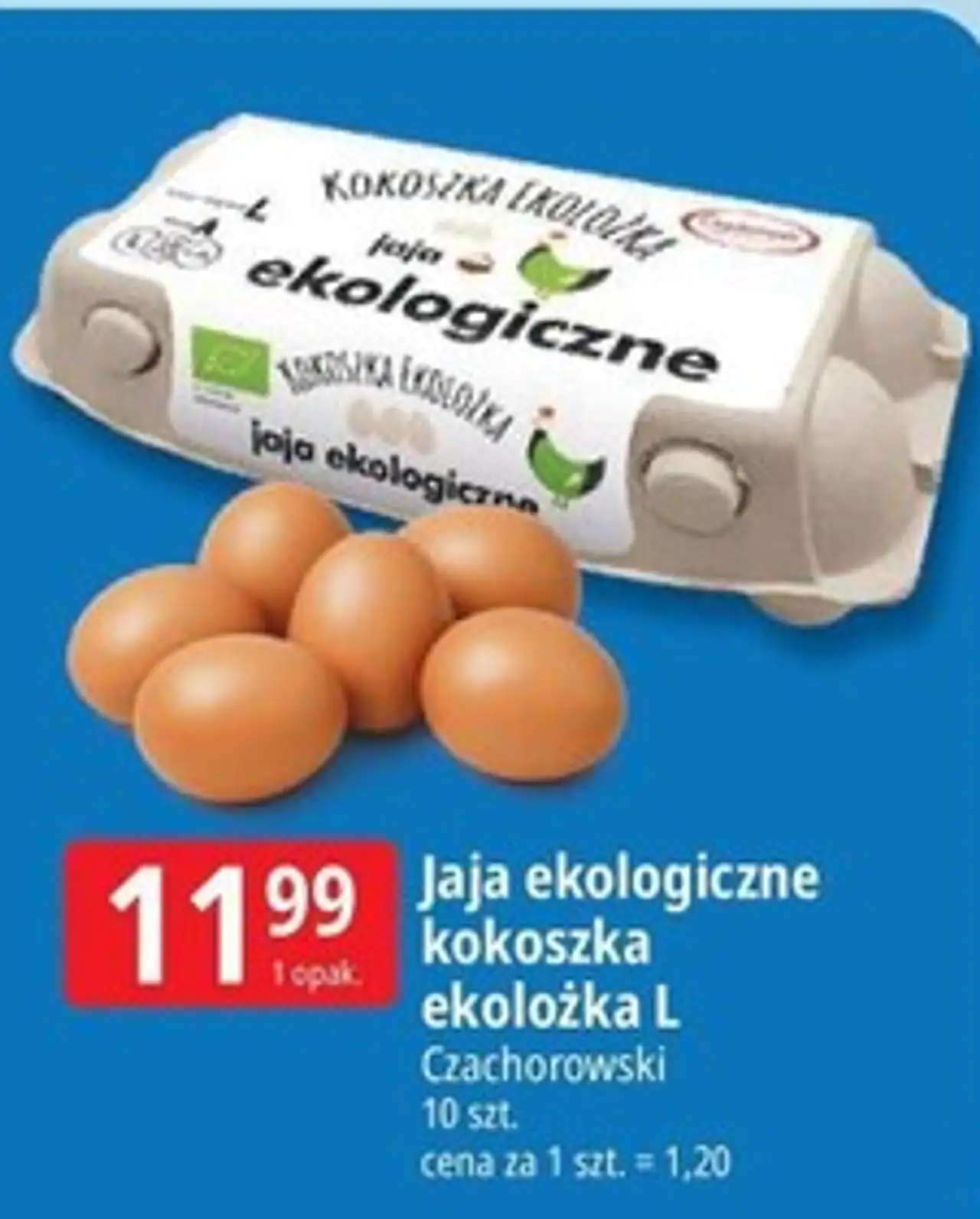 Jaja ekologiczne kokoszka ekolożka L Czachorowski