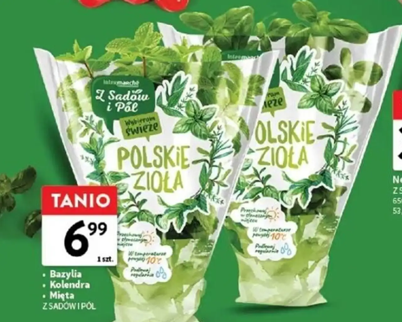 Bazylia, Kolendra, Mięta Z Sadów i Pół