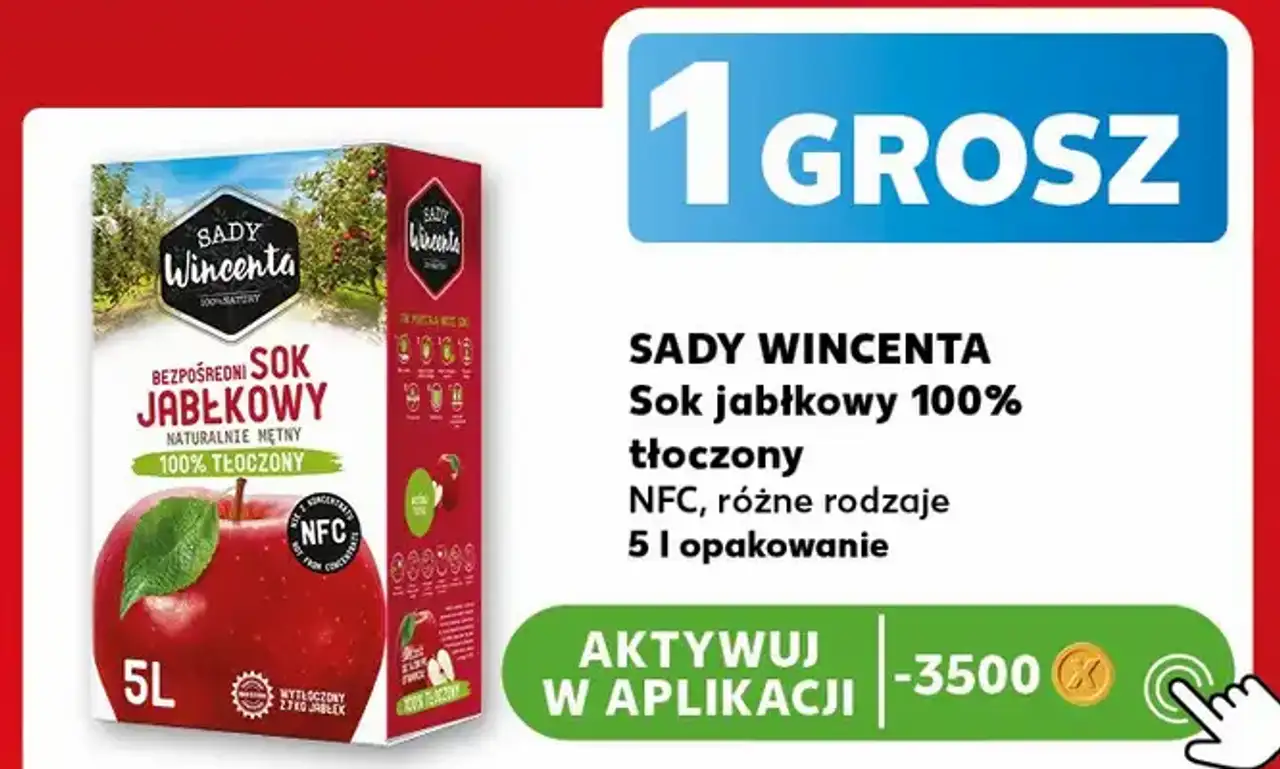 Sady Wincenta Sok jabłkowy 100% tłoczony NFC, różne rodzaje