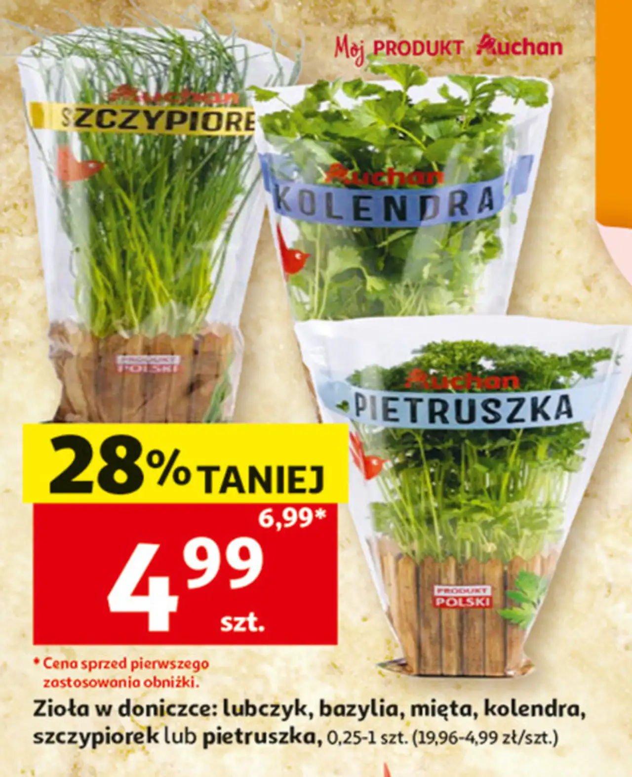 Zioła w doniczce: lubczyk, bazylia, mięta, kolendra, szczypiorek lub pietruszka