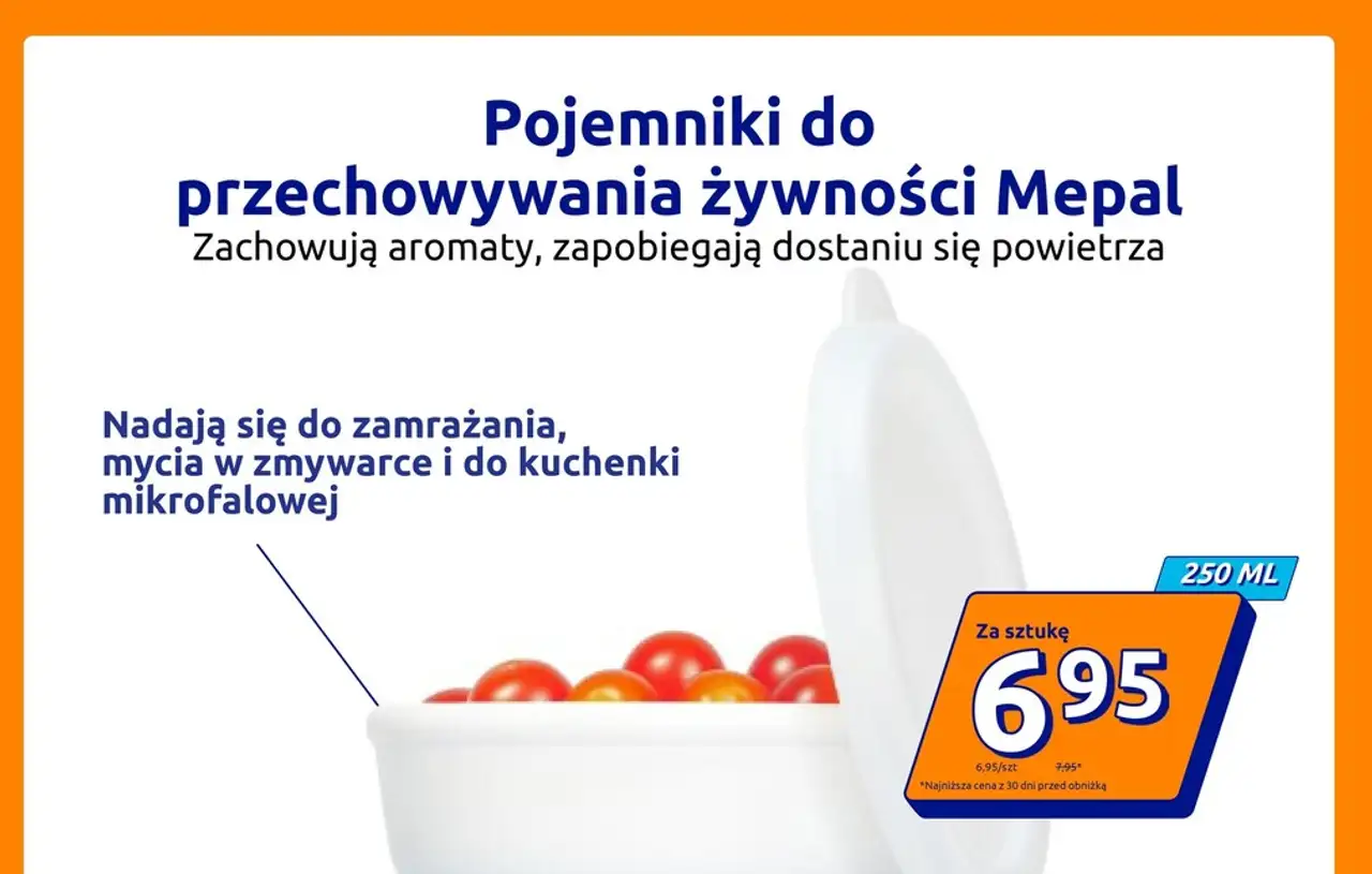 Pojemnik do przechowywania żywności Mepal 250 ml
