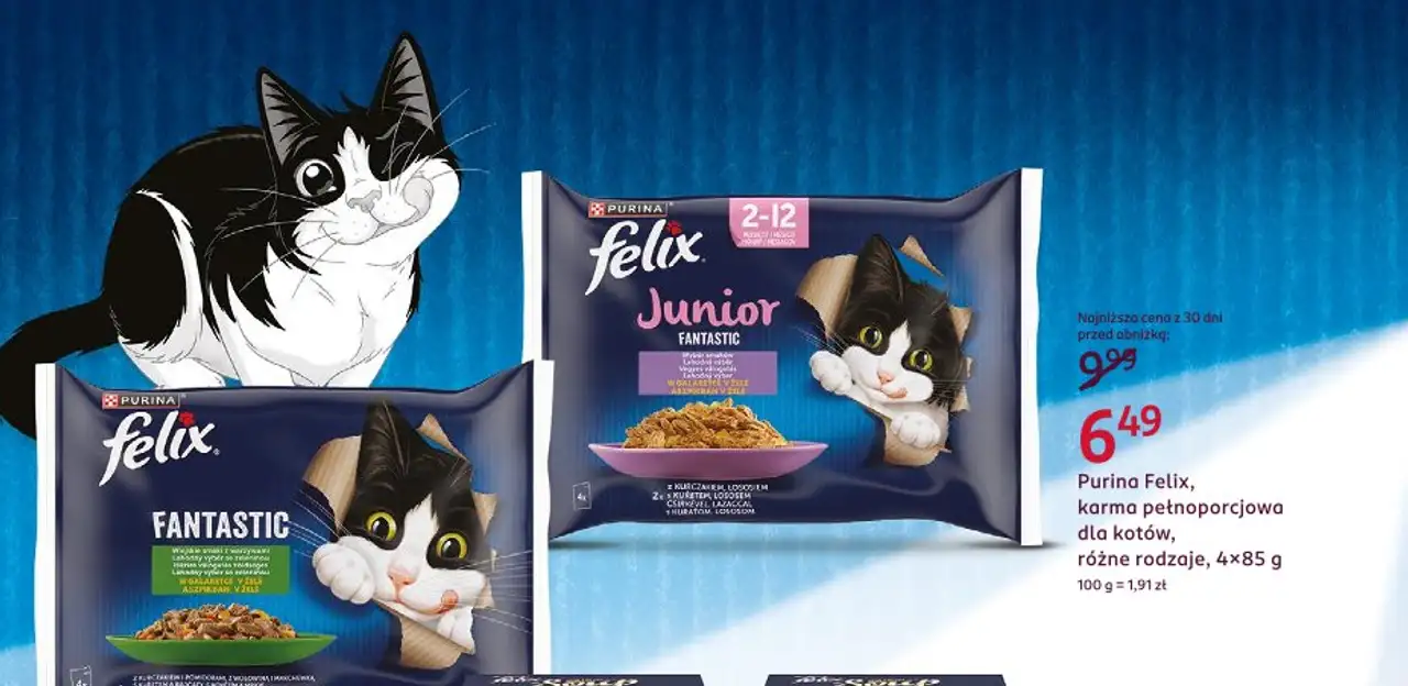 Purina Felix, karma pełnoporcjowa dla kotów, różne rodzaje