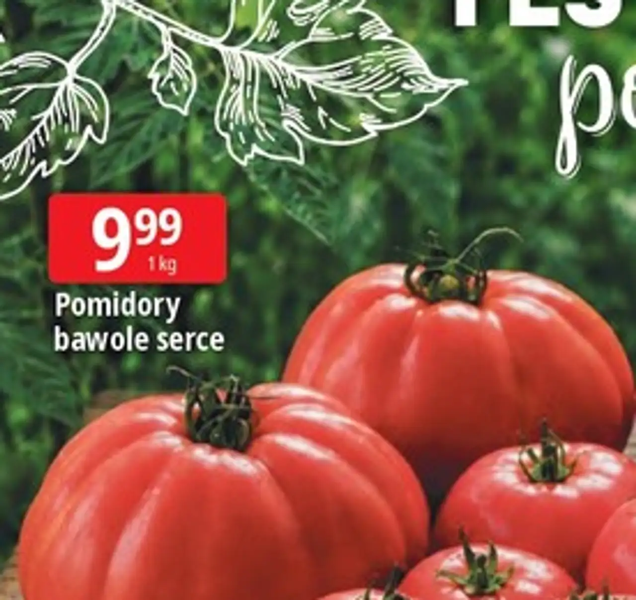 Pomidory bawole serce