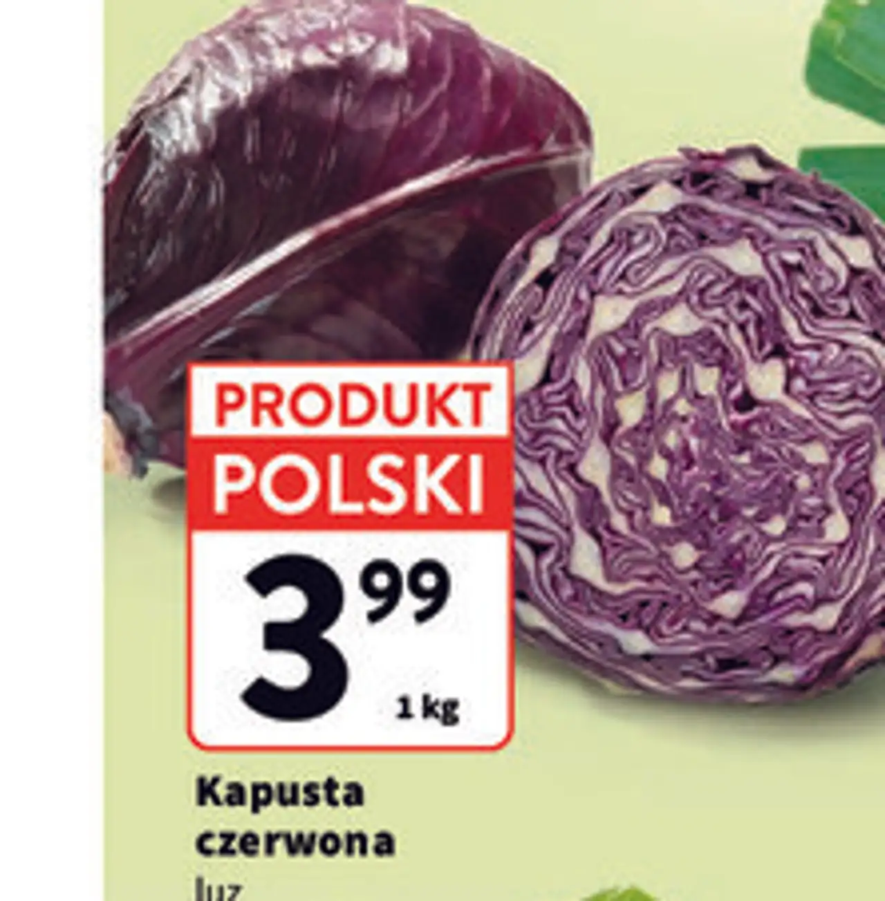 Kapusta czerwona luz