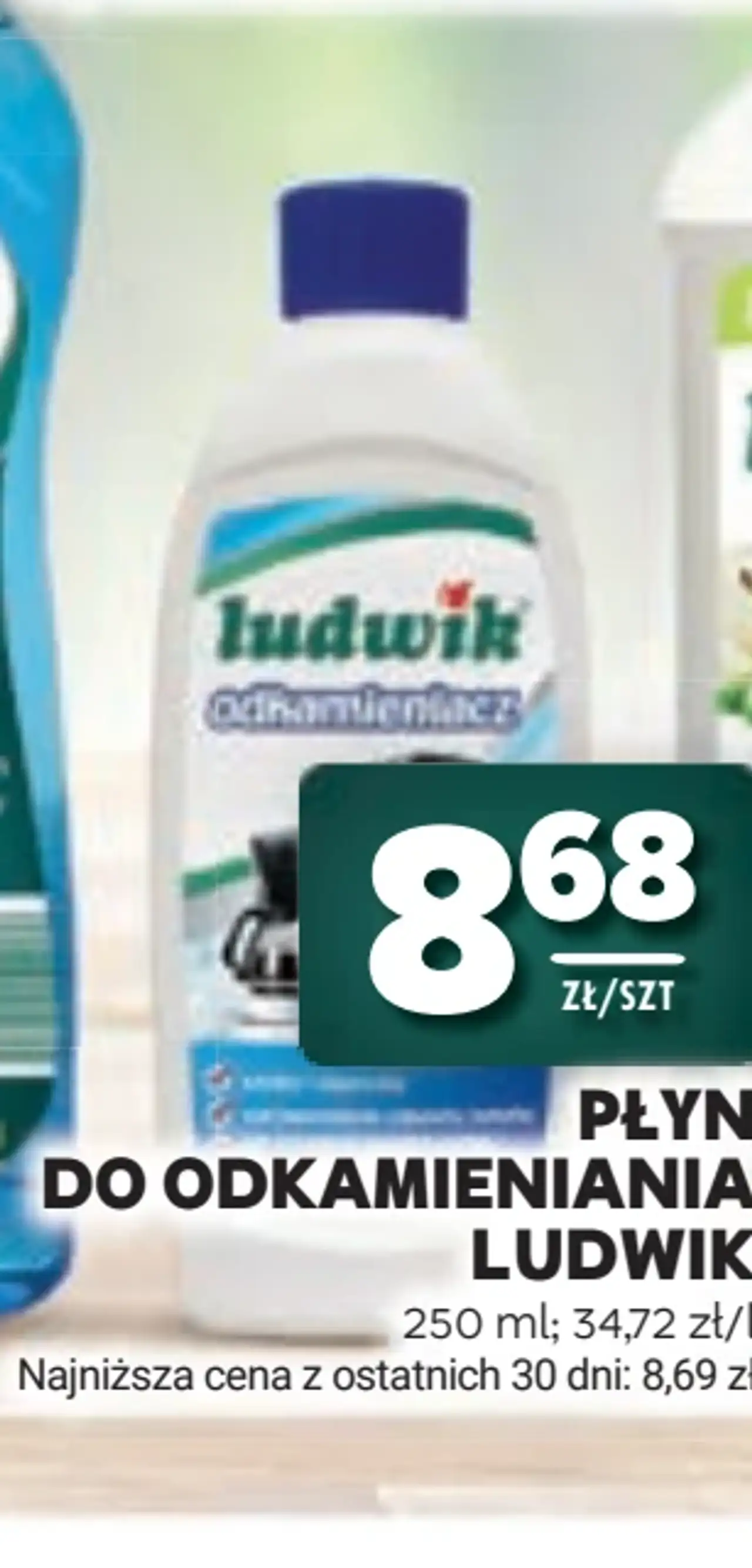 Płyn do odkamieniania Ludwik