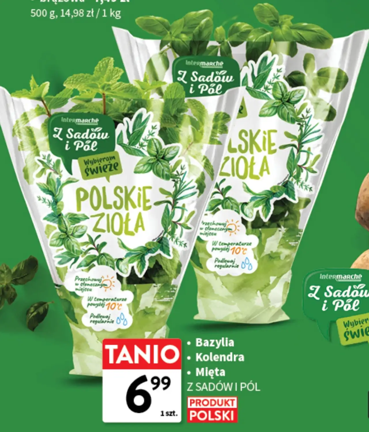 Polskie zioła Z Sadów i Pół (Bazylia, Kolendra, Mięta)
