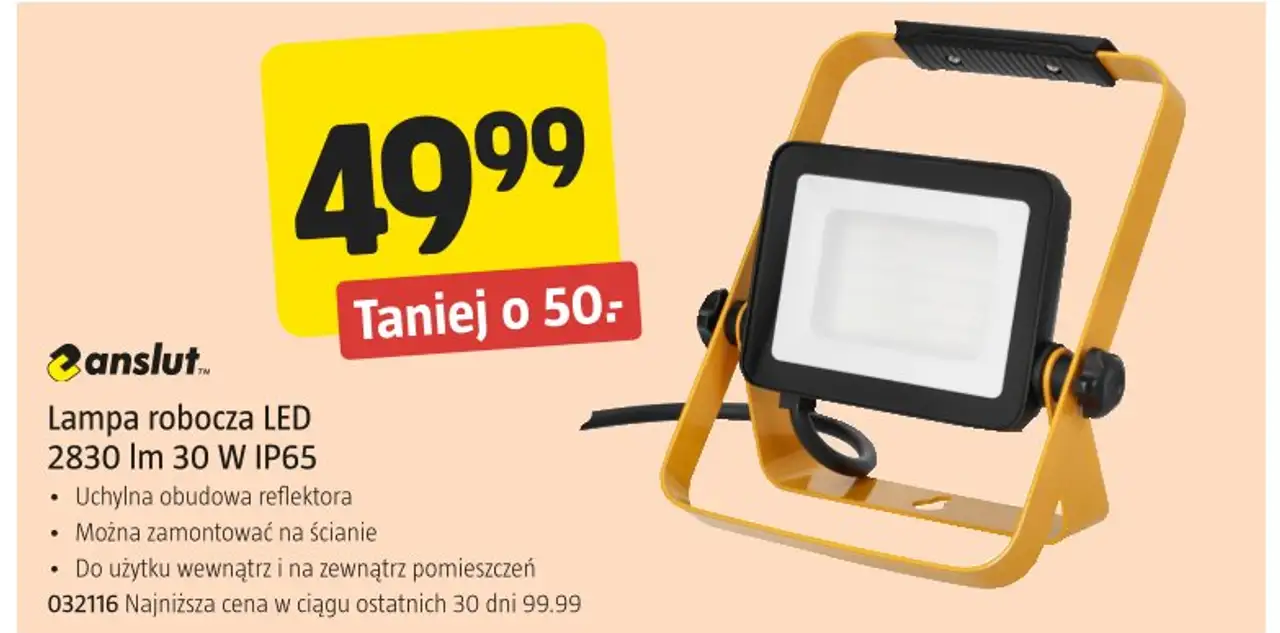 Lampa robocza LED 2830 lm 30 W IP65 Anslut