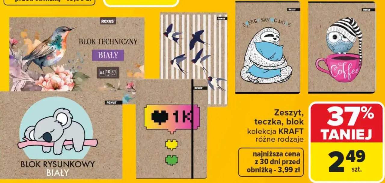 Zeszyt, teczka, blok kolekcja Kraft Rexus