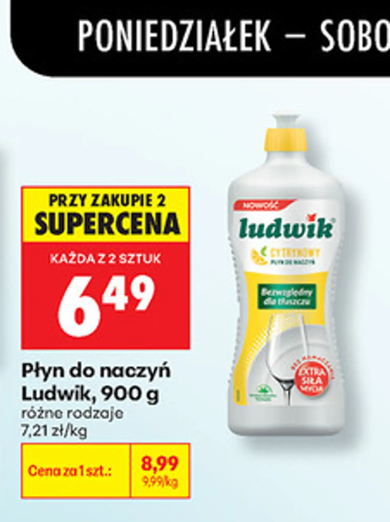 Płyn do naczyń Ludwik