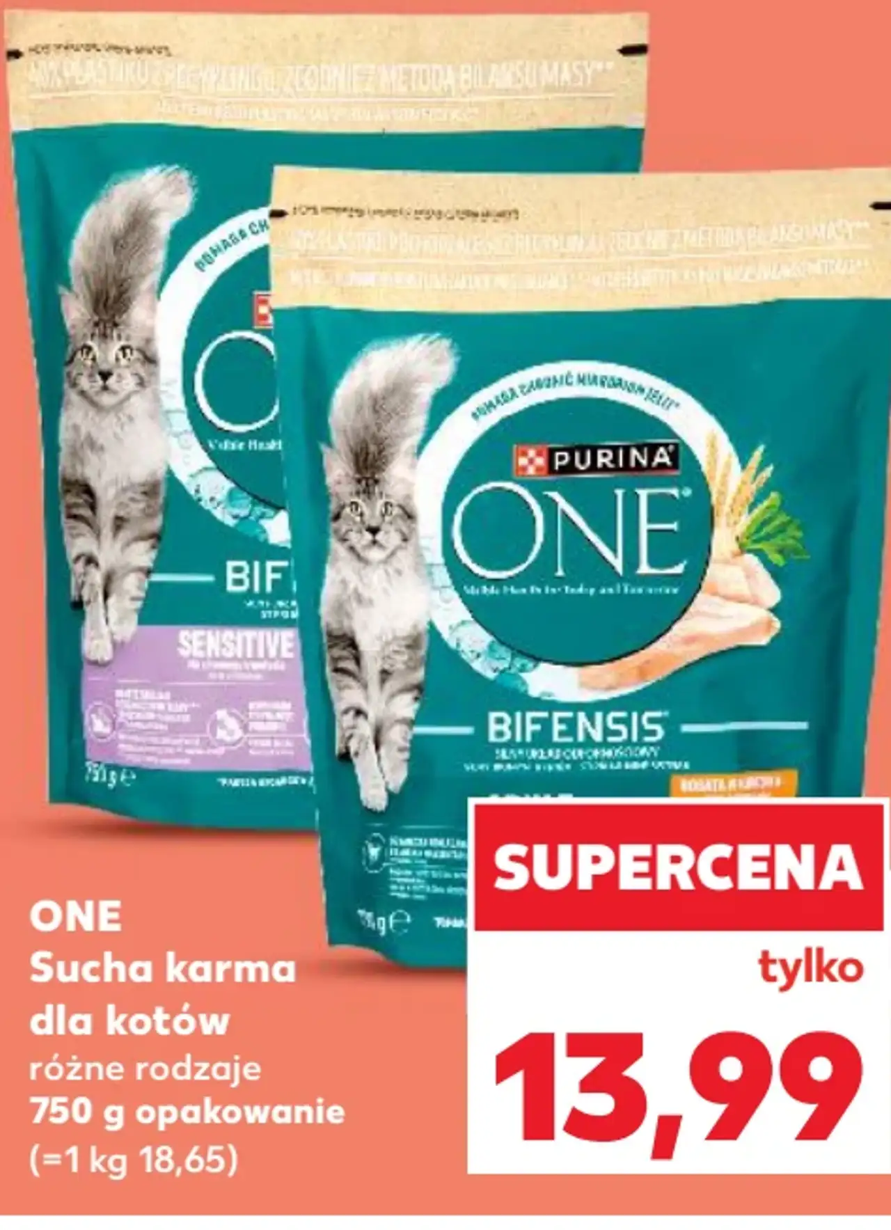Purina ONE Sucha karma dla kotów
