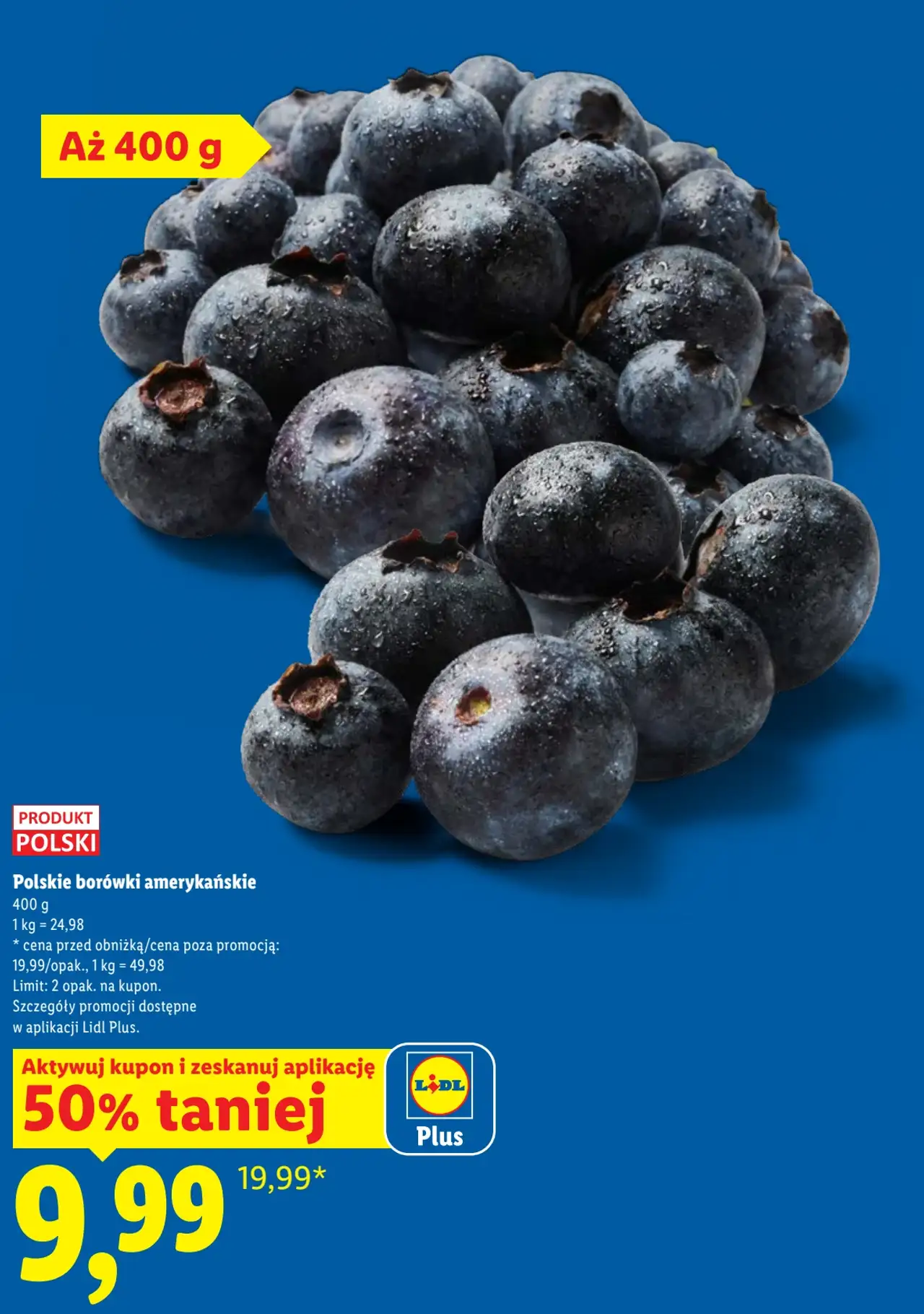 Polskie borówki amerykańskie