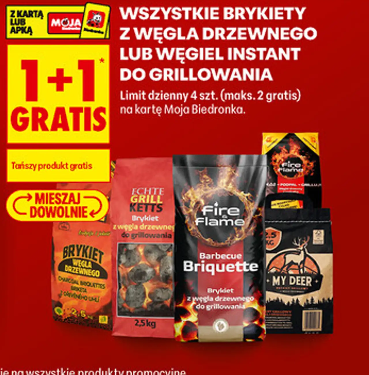 Brykiety z węgla drzewnego lub węgiel instant do grillowania