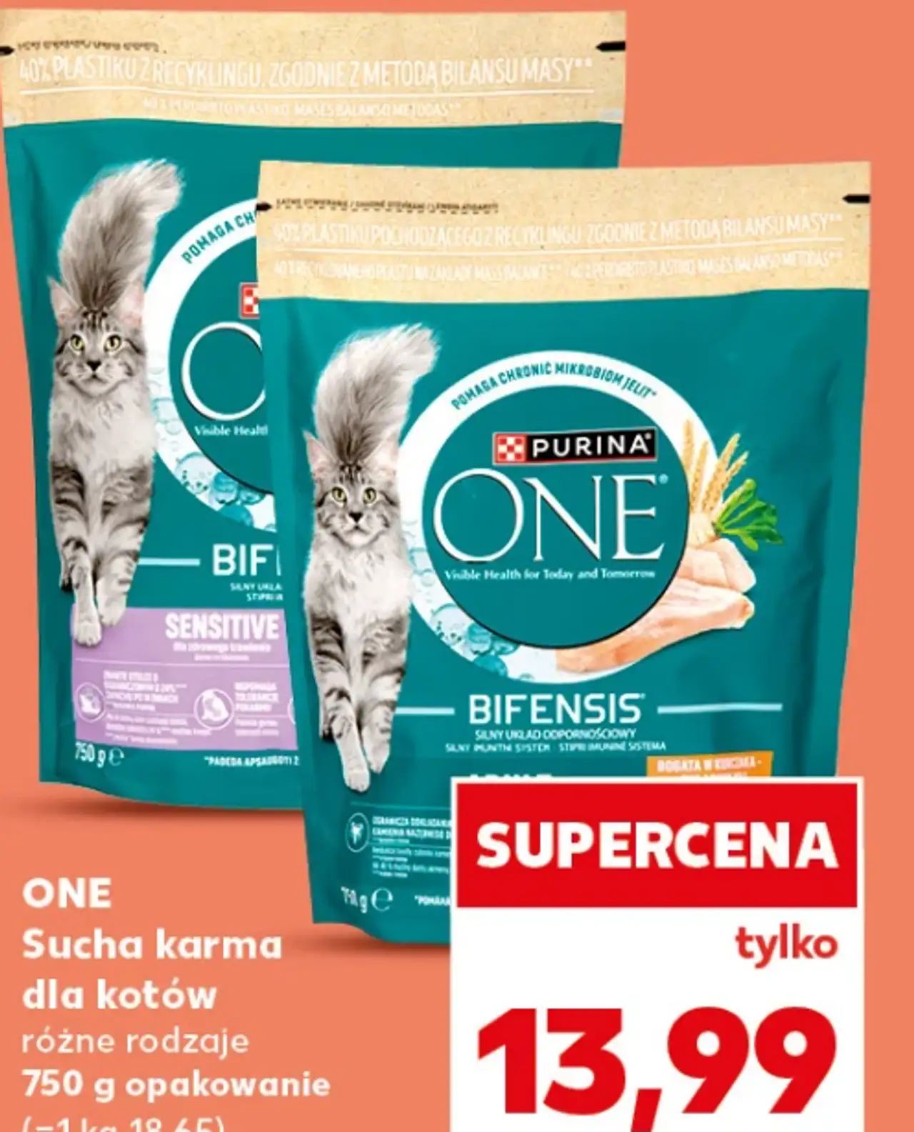 Purina ONE BIFENSIS Sucha karma dla kotów różne rodzaje