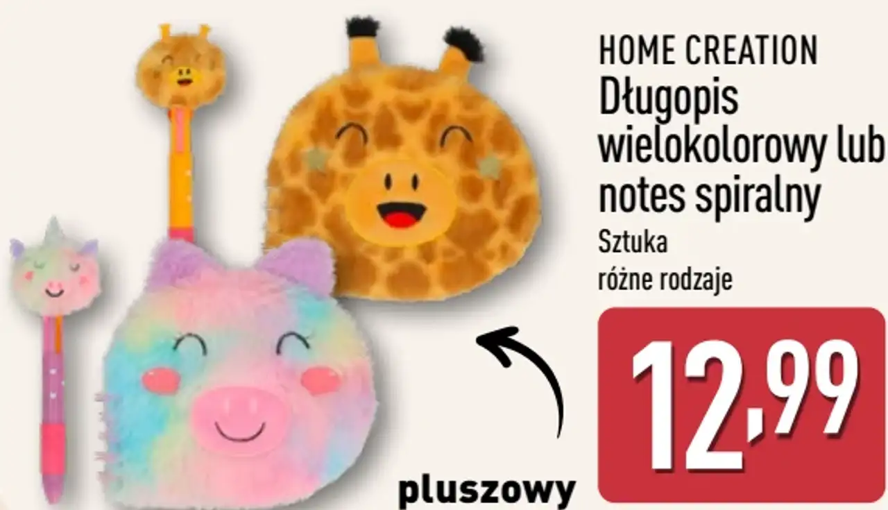 Długopis wielokolorowy lub notes spiralny HOME CREATION