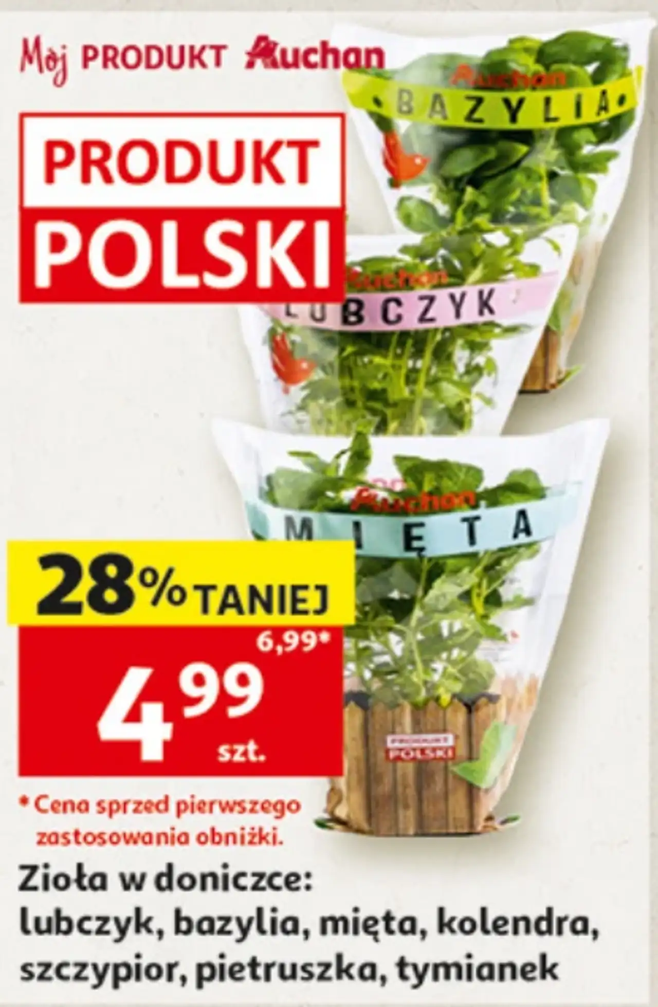 Zioła w doniczce: lubczyk, bazylia, mięta, kolendra, szczypior, pietruszka, tymianek