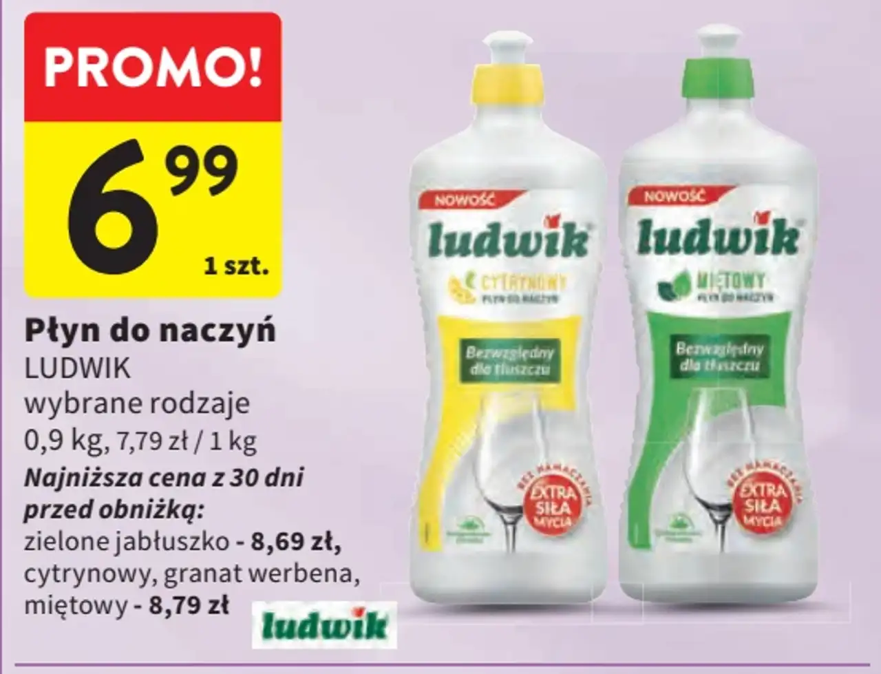 Płyn do naczyń Ludwik
