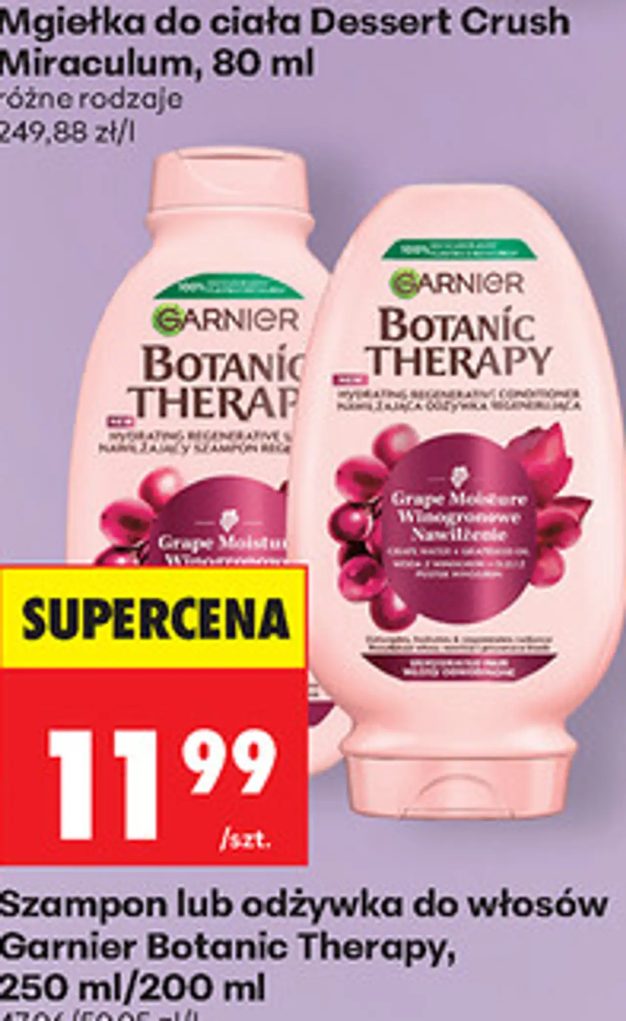 Szampon lub odżywka do włosów Garnier Botanic Therapy, 250 ml/200 ml