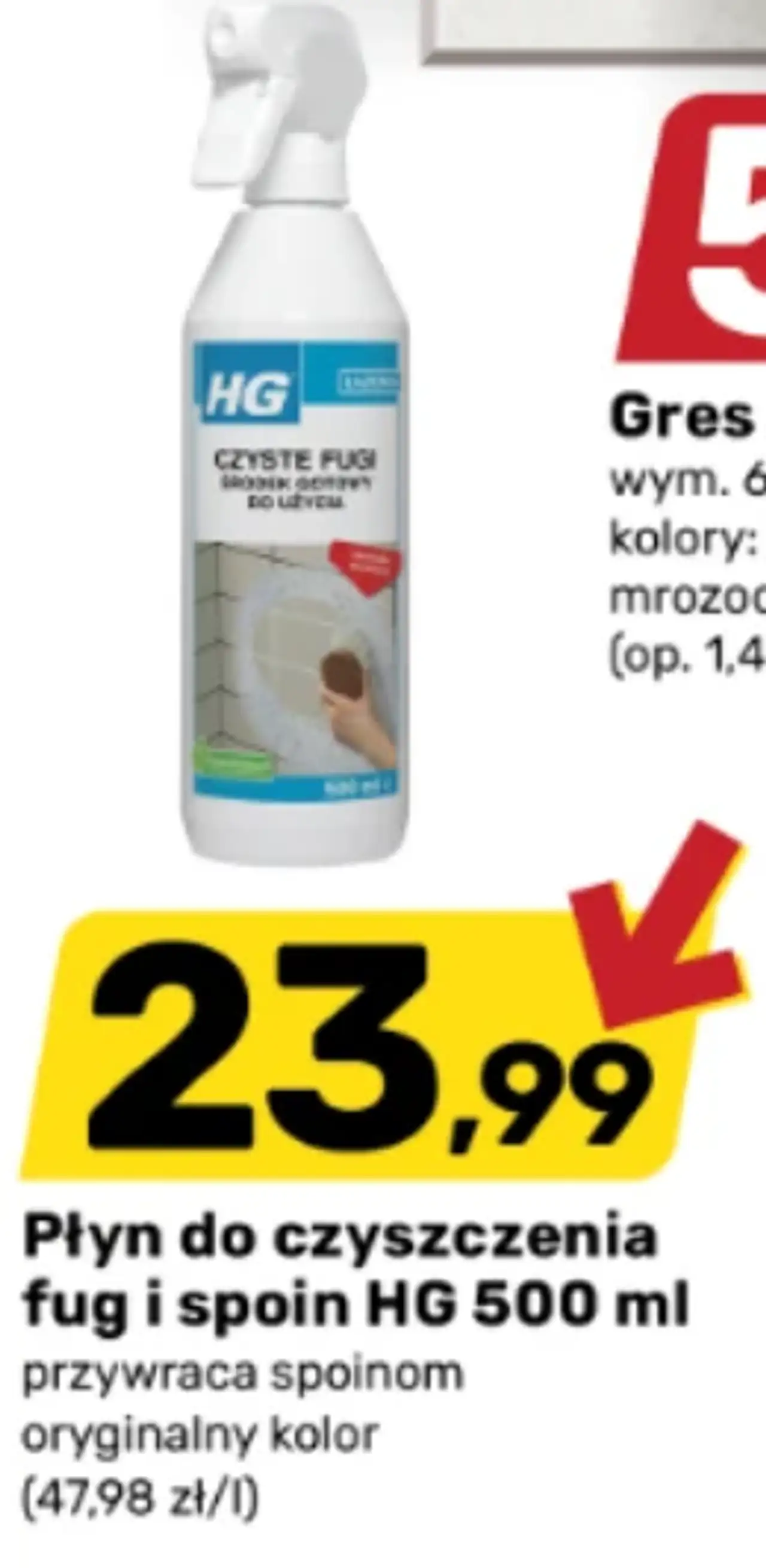 Płyn do czyszczenia fug i spoin HG