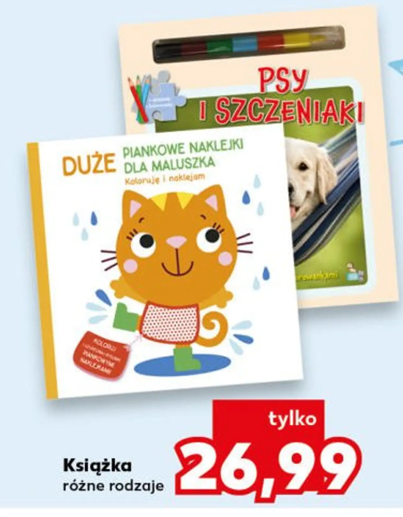 Książka, różne rodzaje (np. Psy i szczeniaki, Duże piankowe naklejki)