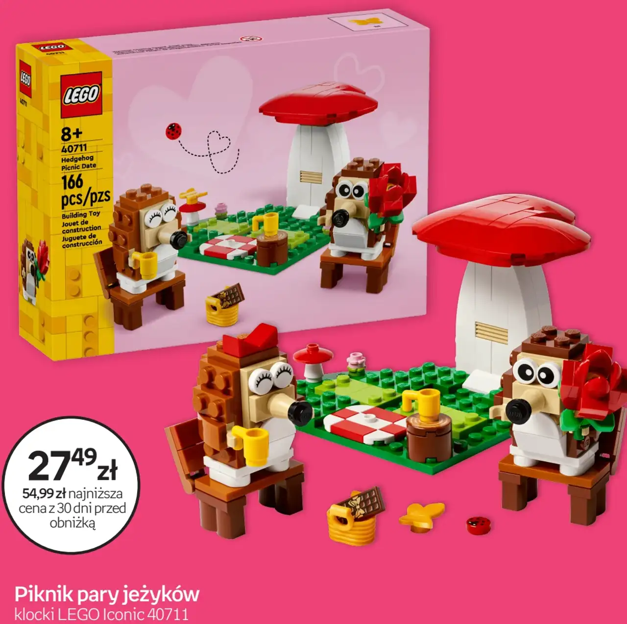 Piknik pary jeżyków klocki LEGO Iconic 40711