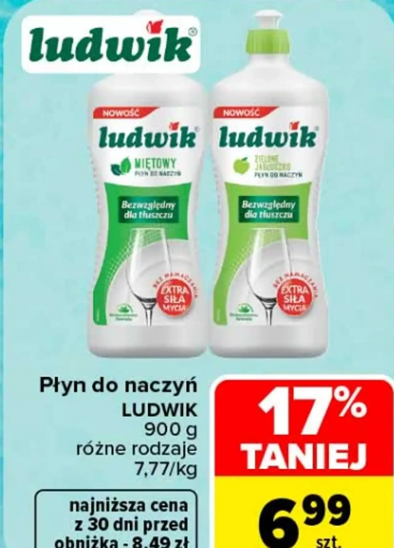 Płyn do naczyń Ludwik