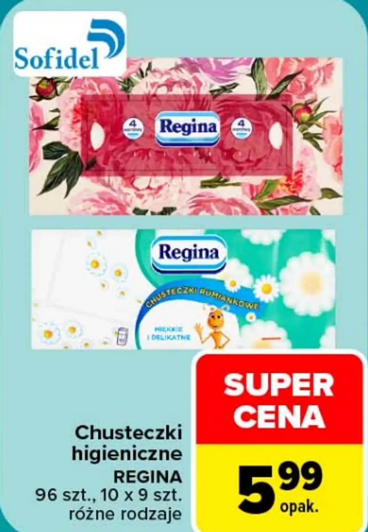 Chusteczki higieniczne Regina 96 szt., 10 x 9 szt.