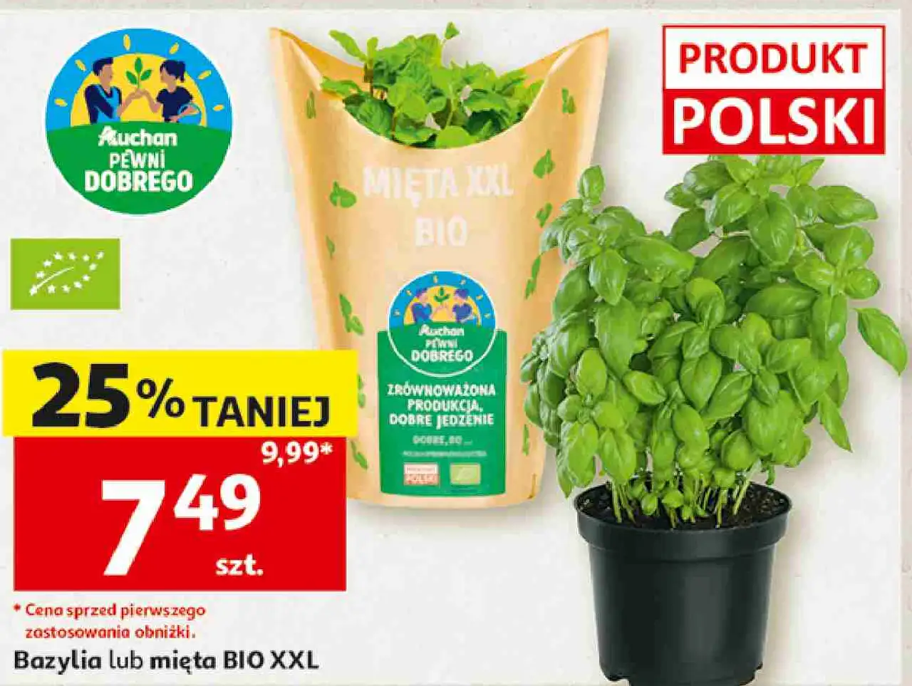 Bazylia lub mięta BIO XXL Pewni Dobrego