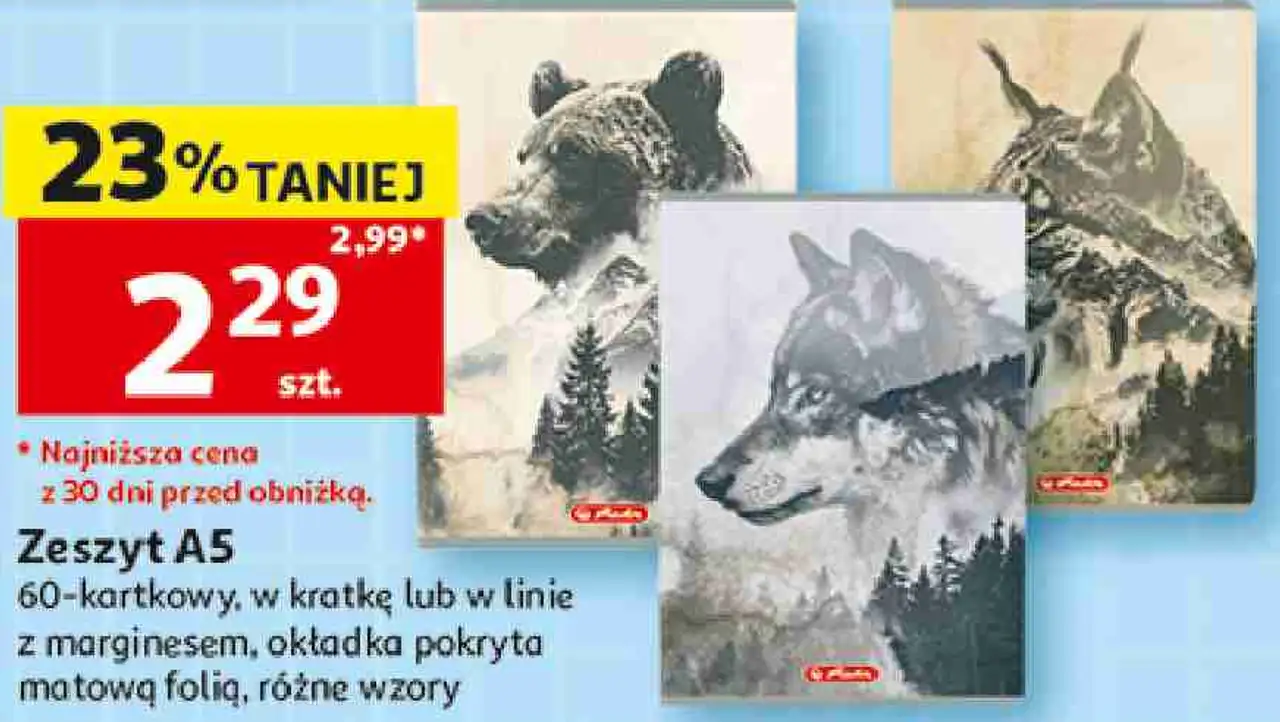 Zeszyt A5, 60-kartkowy, w kratkę lub w linie z marginesem, okładka pokryta matową folią, różne wzory