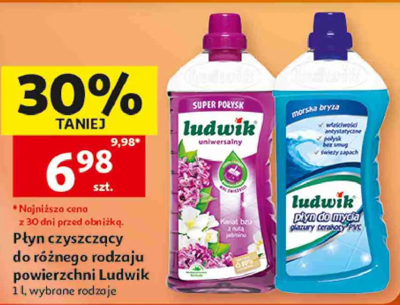 Płyn czyszczący do różnego rodzaju powierzchni Ludwik