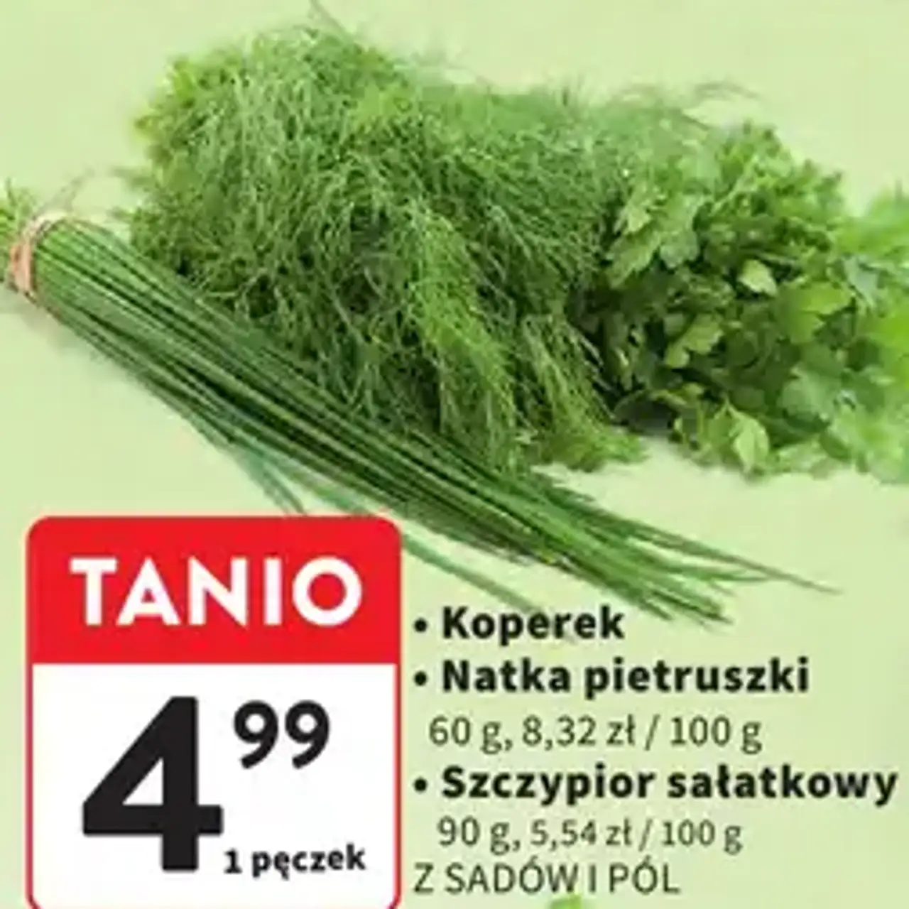 Koperek, Natka pietruszki, Szczypior sałatkowy Z Sadów i Pól
